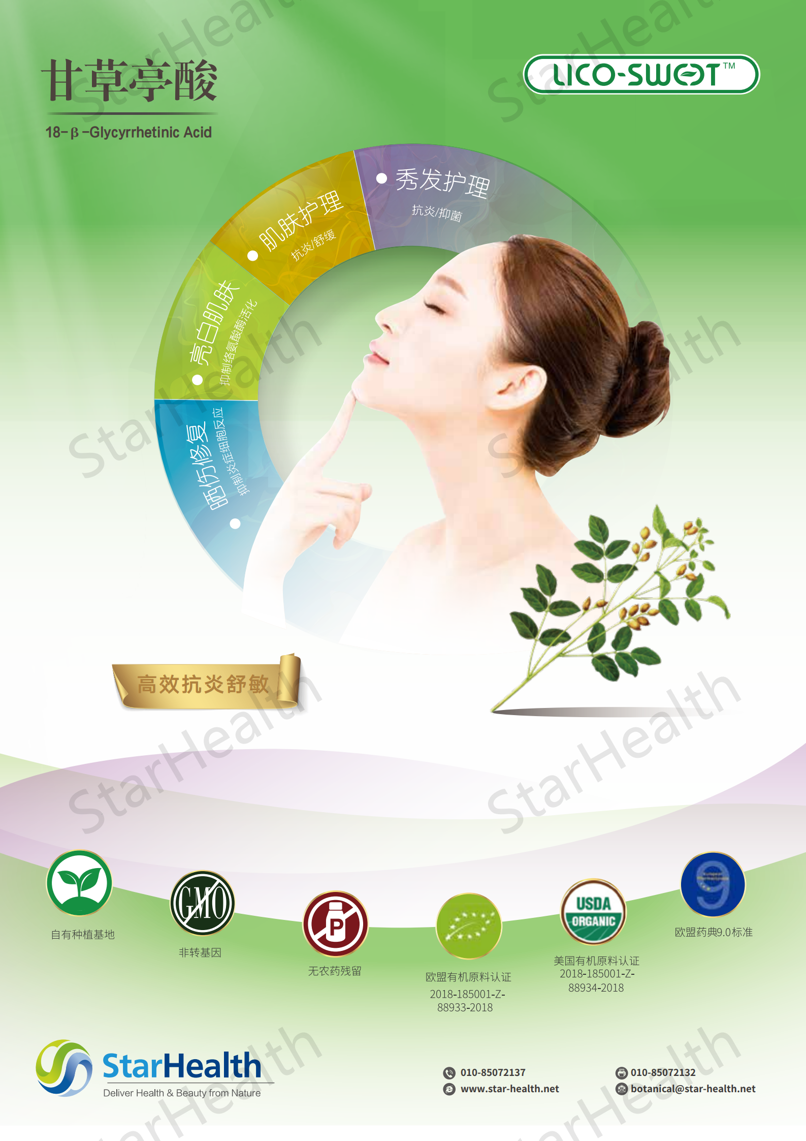 18-β-Glycyrrhetinic Acid - Glycyrrhiza