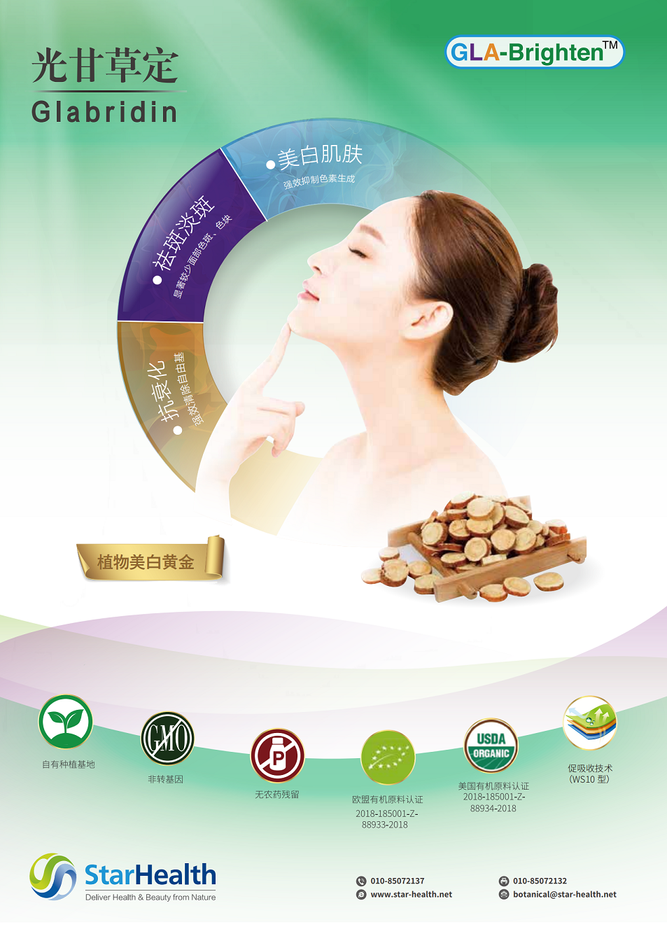 Glabridin 40W - Glycyrrhiza glabra L.